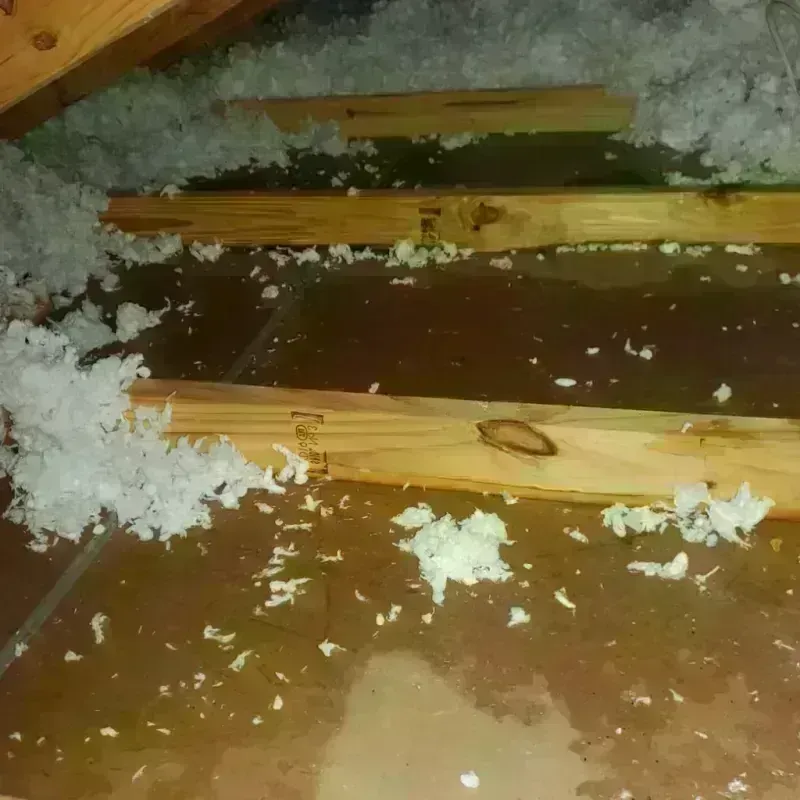 Attic Water Damage in Port Ludlow, WA